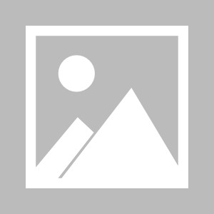 糖心logo下载（糖心logo下载禁漫天堂）